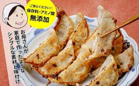 餃子 国産 無添加 かかぁのぎょうざ 120個 餃子
