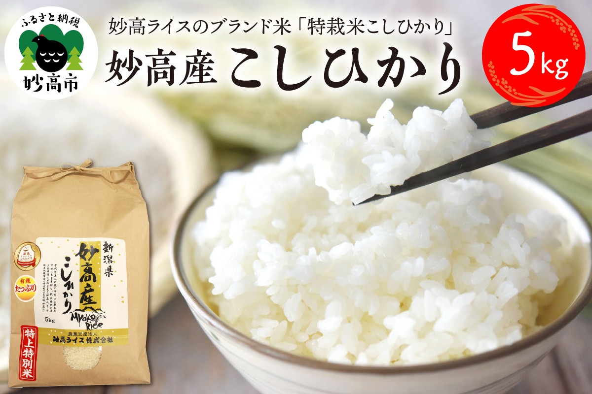 
                  【令和7年産】妙高産こしひかり特別栽培米5kg
                