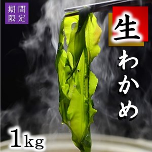 北三陸産 早どりわかめ 1kg 生わかめ 若芽 ワカメ わかめしゃぶしゃぶ