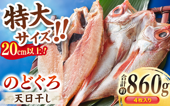 TV放映多数！県内外のファンがわざわざ訪れる 天日ほしもん屋特製 のどぐろ干物×4枚（特大サイズ・20cm以上） 島根県松江市/桝谷鮮魚店 [ALCJ002] 干物