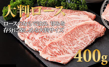 三角バラ肉入り！佐賀牛焼肉セット（カルビ・ロース×900g）つるや食品 D400-006