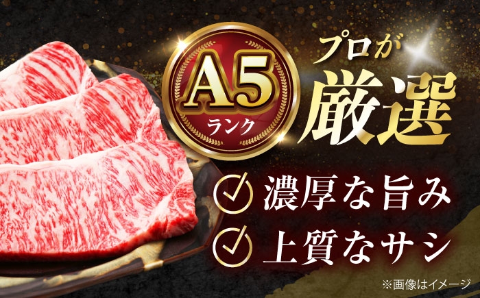 サーロインステーキ ステーキ肉 国産 和牛 A5ランク ギフト 霜降り