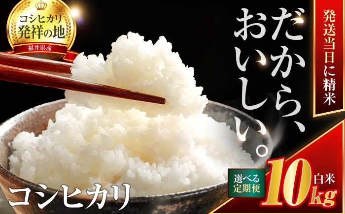 
                  お米 【 選べる配送回数 】 コシヒカリ 米 10kg 福井県産 精米 白米 （2ヶ月 ～ 6ヶ月）定期便 /  お米 白米 精米 ブランド米 単一原料米 銘柄米 おこめ ご飯 ライス ふっくら 10キロ 予約 備蓄 保存食 おにぎり お弁当 産地直送 一等米 相当 お取り寄せ 送料無料 小浜市 / 梅田東米穀店[BFEK014]
                