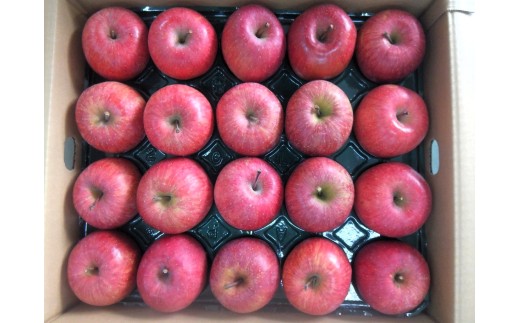 りんご（サンふじ）１０ｋｇ　４０～４６玉　ご家庭用　0056-2624