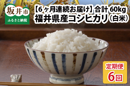 【令和7年産】【農家直送定期便 6ヶ月コース】【白米】 本原農園のまごころコメた 福井県産 コシヒカリ 10kg × 6回 計60kg [N-8903]