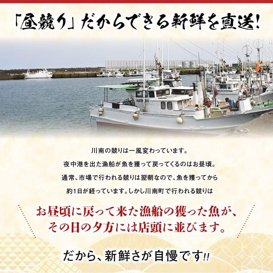 《先行予約》担当者厳選！伊勢海老1000g（2～5尾） 【魚介類 えび 伊勢えび イセエビ 日向灘】[D04402]