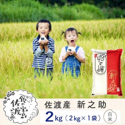 ふるさと納税 佐渡市 佐渡島産新之助 白米2Kg(2Kg×1袋)令和7年産 【食の宝島佐渡】