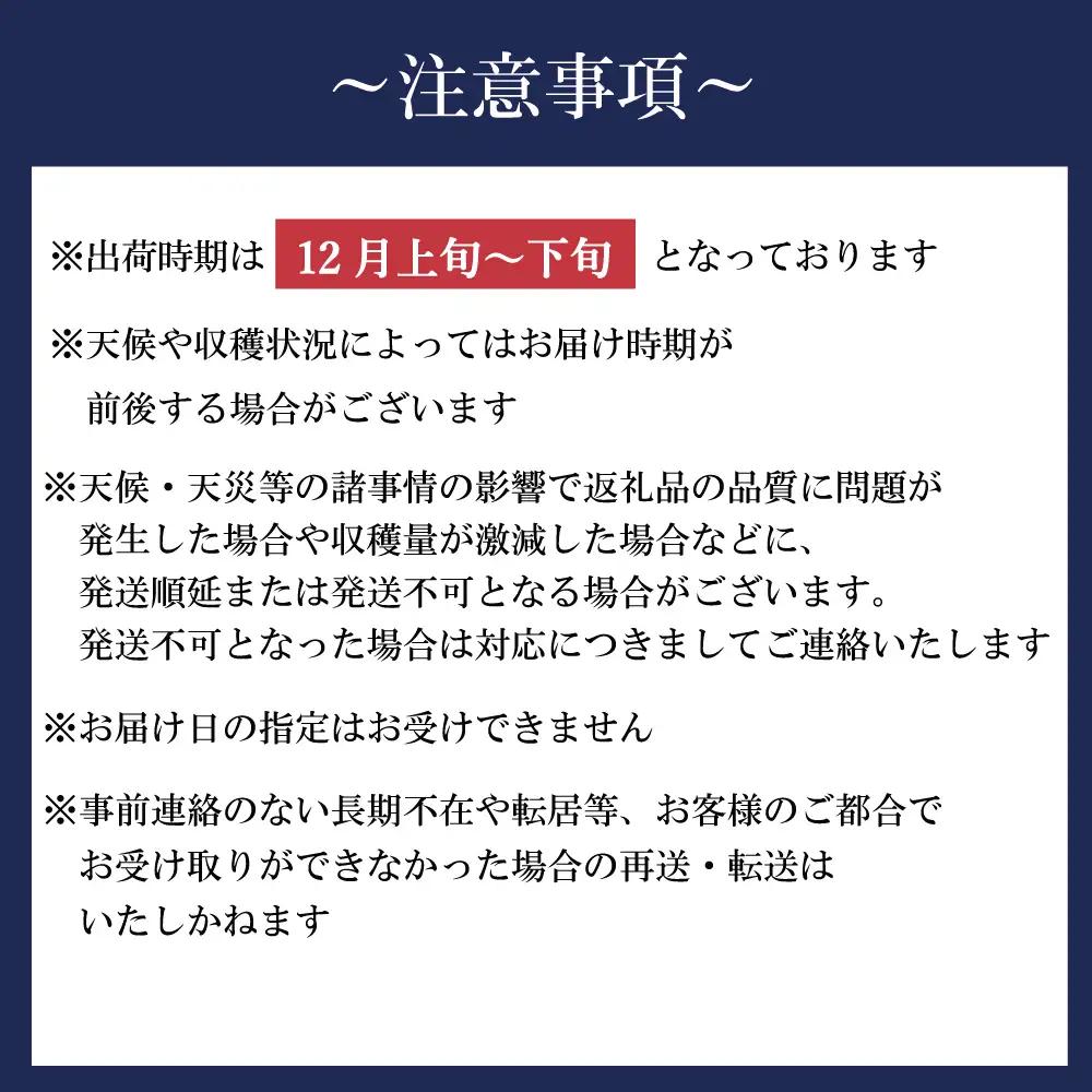 新地町産 りんご サンふじ 訳あり 約3kg 1箱 | 果物 くだもの リンゴ フルーツ 旬 産地直送 農家直送 食品 人気 おすすめ 送料無料 お取り寄せ 福島県 新地町 訳アリ わけあり 葉とらず
