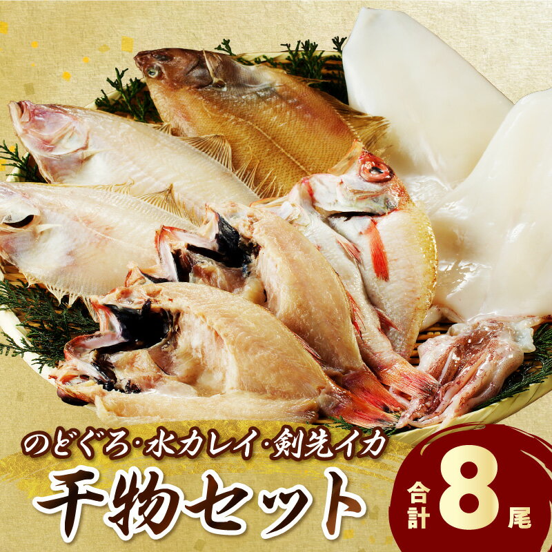【ふるさと納税】【レビューCP対象】 山陰浜田港水揚げされた人気干物セット 魚介 魚 セット 加工品 干物 のどぐろ アカムツ 水カレイ イカ 剣先イカ 魚介類 魚貝類 干もの 一夜干し ふるさと納税 魚 セット 【025_0437】