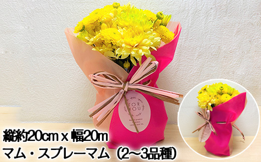 贈り物に そのまま飾れるスタンドマムブーケ pop yellow(イエロー系) 水替え不要 生花 お花 お祝 記念日 プレゼント「2024年 令和6年」