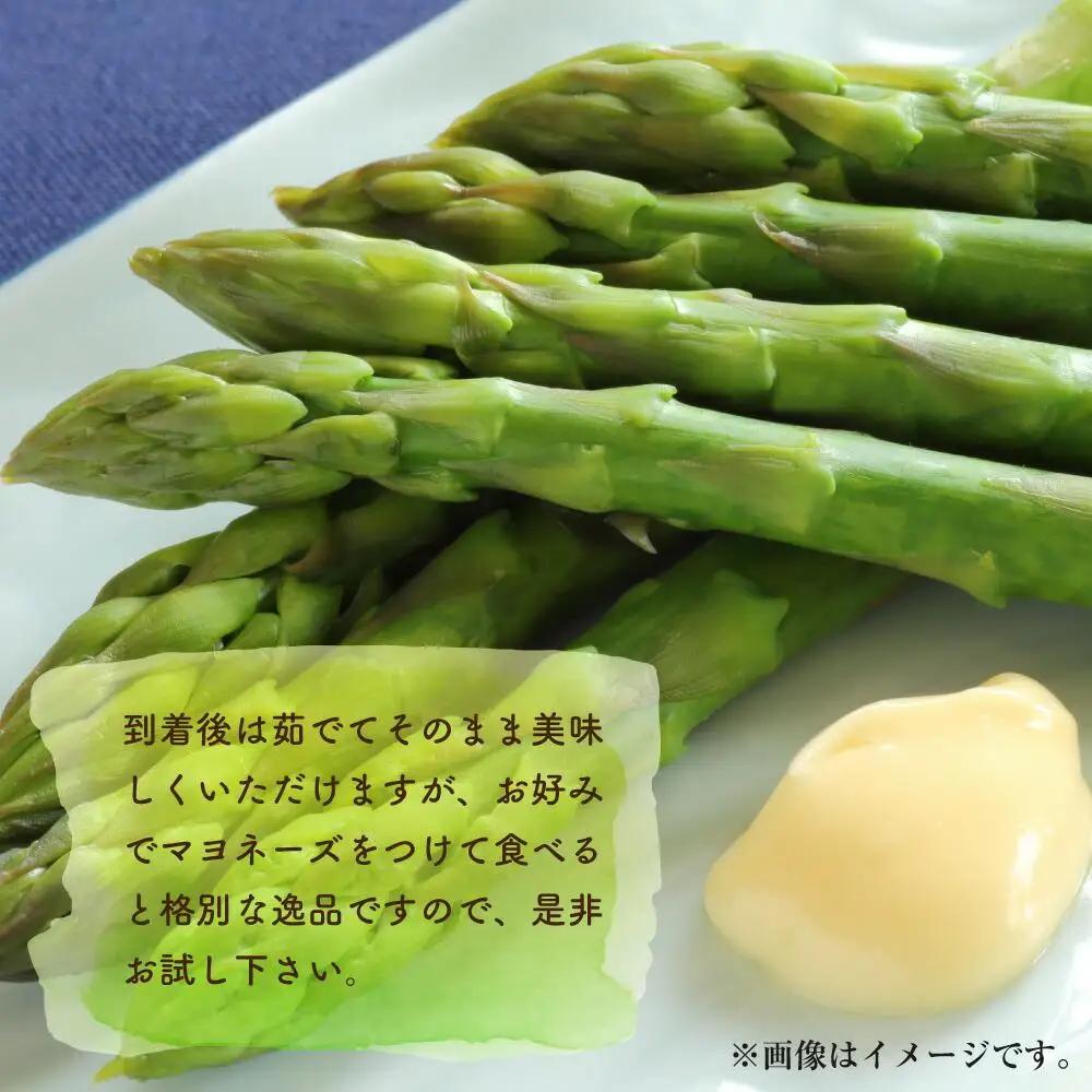 朝採り グリーンアスパラ M～2L 1.2kg (2027年5月下旬発送開始予定) | アスパラ 北海道