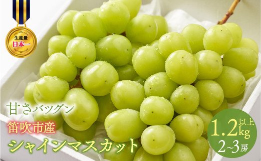 
            ＜25年発送＞【2026年発送★先行予約】甘さ抜群プリプリ　シャインマスカット　2～3房　1.2kg以上 168-001-oya
          