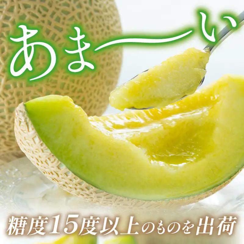 【先行予約／数量限定200】砂姫メロン2玉！（2026年6月下旬～発送）メロン