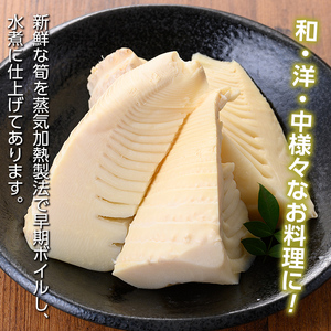 s263 《訳あり・毎月数量限定》たけのこ水煮カットタイプ(計2kg・500g×4袋)九州産の新鮮な筍をお届け！和・洋・中様々なお料理で大活躍！【北薩農産加工場】