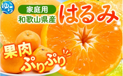 【先行予約】 家庭用 はるみ 訳あり 7.5kg+250g（痛み補償分）/ 春 みかん 光センサー選別 ※2027年2月上旬〜3月下旬ごろに順次発送予定 ※北海道・沖縄・離島への配送不可 【ikd013-c-7d5B】