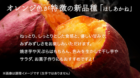 さつまいも 【 紅あずま ・ ほしあかね 】 5kg ( 箱込 )の 2箱セット