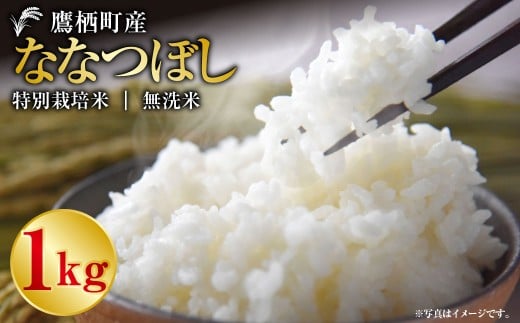 【令和7年産】 ななつぼし（無洗米） 1kg お米 米 コメ 無洗米 白米 主食 ご飯 ごはん  白ご飯 常温 北海道 鷹栖町