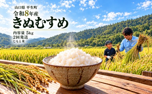 令和8年産 山口県産米 きぬむすめ 5kg 定期配送 2回 ｜定期便 定期発送 令和8年産 きぬむすめ 山口県産米 こめ お米 コメ 白米 米 新米 ごはん 弁当 おにぎり おむすび 朝食 ランチ 主食 精米 地域支援 地元応援 瀬戸内 山口県 平生町 5kg 2回
