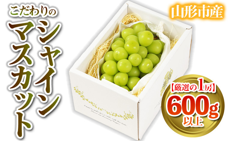 
            【厳選の1房】こだわりの シャインマスカット 600g以上 山形市産 (9月中旬～10月上旬順次発送) 【令和7年産先行予約】FS24-543くだもの 果物 フルーツ 山形 山形県 山形市 2025年産
          