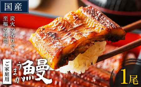 うなぎ ご家庭用 1尾  ｜うなぎうなぎうなぎうなぎ