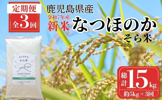 D93001 ＜定期便・計3回(連続)＞農家直送 令和7年産 新米 鹿児島県産 なつほのか 15kg （5kg×3回）国産 自家精米 精米 白米 ごはん ご飯 お米 コメ こめ【悠希農園】
