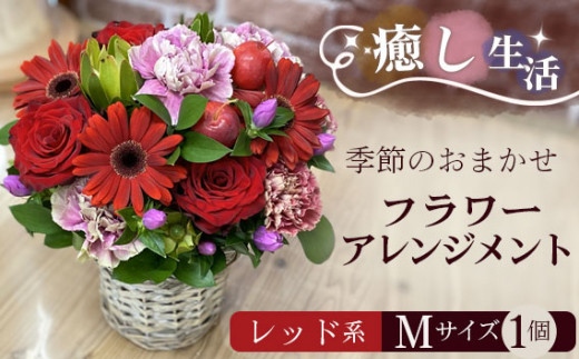 （レッド系）Mサイズ 癒し生活！季節のおまかせフラワーアレンジメント ／ ギフト 記念日 お花 茨城県 No.486