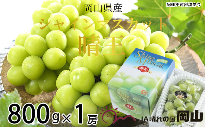 ぶどう 2026年 先行予約 シャイン マスカット 晴王 約800g×1房 ブドウ 葡萄  岡山県産 国産 フルーツ 果物 ギフト シャインマスカット 美しい 大粒 種なし 弾力 高糖度 甘い 