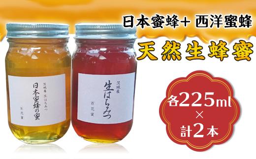 
            【先行予約】天然生蜂蜜（日本蜜蜂と西洋蜜蜂）【2025年8月上旬から順次発送予定】【ハチミツ 蜂蜜 はちみつ 生蜂蜜 蜂 お菓子 瓶タイプ 砂糖 甘い 濃厚】
          