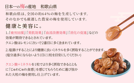 無選別 和歌山の完熟南高梅 味が染み込んだ梅干し はちみつ味 500g 塩分10％ [定期便 毎月発送・全12回]
