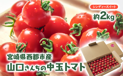 
            山口さんちの中玉トマト 約2㎏ シンディースイート 宮崎県西都市産とまと 【先行予約】＜1-280＞★
          