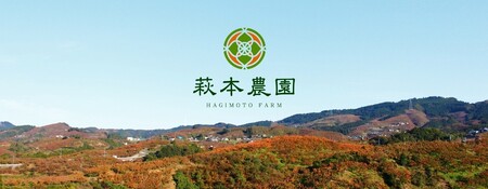 朝倉山椒 500g | 朝倉 山椒 さんしょう サンショウ 胡椒 調味料 スパイス 家庭用 自宅用 産地直送 5月 発送 国産 人気 送料無料 グルメ お取り寄せ 萩本農園 | 奈良県 五條市