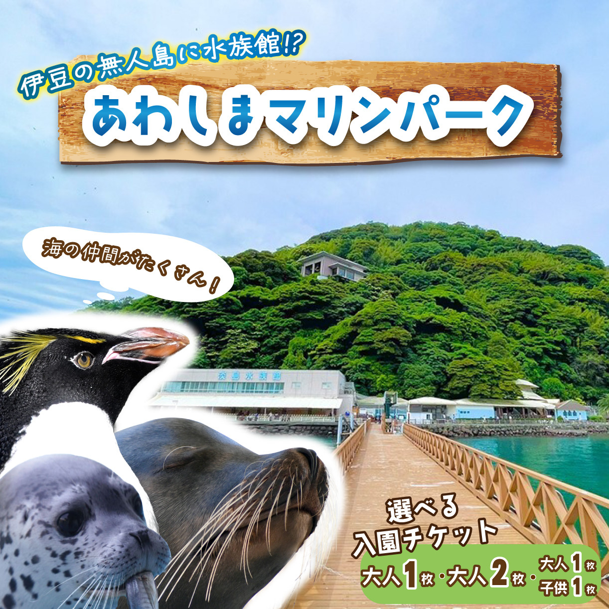 
            【選べるチケット】 あわしまマリンパーク 入園チケット 大人1名チケット・ペアチケット・家族チケット  水族館 イルカ アシカ ペンギン カエル館 沼津 西浦
          