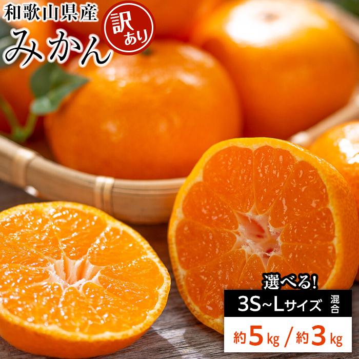 【ふるさと納税】和歌山県産 糖度 12.5度以上 訳あり みかん 3kg または 5kg 3S～Lサイズ混合 | みかん 和歌山県 和歌山県産 糖度 訳あり ミカン ワケアリ ご家庭用 家庭用 お取り寄せ お取り寄せグルメ