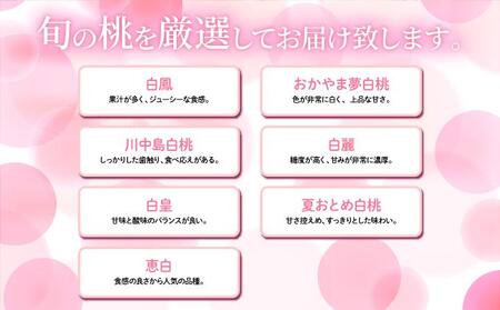 <2025年先行予約>岡山県産 厳選旬の桃 約2kg(6玉~9玉)【037-a001】