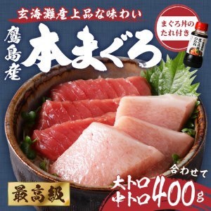 鷹島産最高級本まぐろ 大中合わせて400g(まぐろ丼たれ付き)（マグロ 本マグロ 鷹島産本マグロ まぐろ 本まぐろ 鷹島産本まぐろ 鮪 本鮪 鷹島産本鮪 マグロ丼 まぐろ丼 鮪丼 本マグロ大トロ 本ま