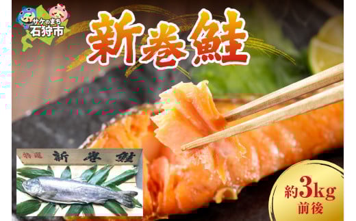 【9月末まで予約受付】【期間限定】新巻鮭 約3kg前後×1本｜ふるさと納税 北海道 石狩市 いしかり ３ｋｇ ３キロ 3キロ ずっしり 鮭姿 一本姿 新巻き鮭 一匹姿 はまます 昔ながらの製法 お土産 土産 手軽 美味しい 人気 漁師 人気 荒巻鮭 あらまきさけ
