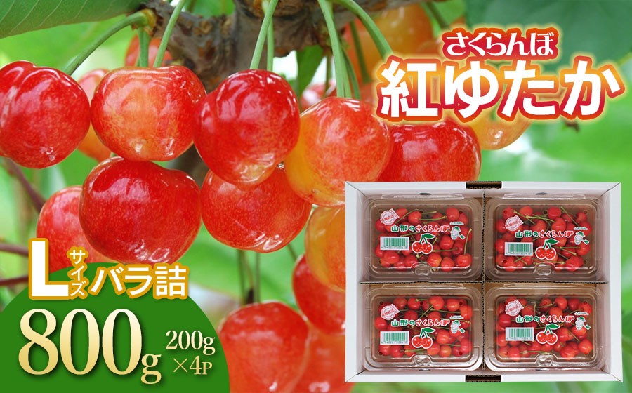 
                  【令和8年産先行予約】 さくらんぼ　紅ゆたか　フードパック　Lサイズ  800g（200g×4P） 山形県鶴岡産　鈴木さくらんぼ園　| サクランボ フルーツ 果物 くだもの 旬 人気 美味しい 大粒 山形県 鶴岡市 先行予約 返礼品
                