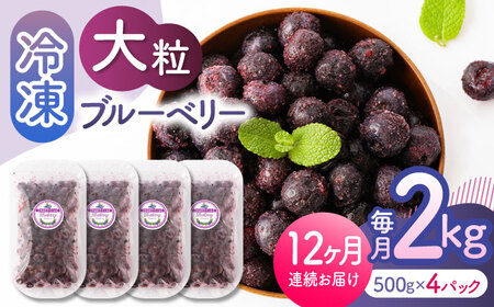 【12回定期便】大粒 冷凍ブルーベリー 約2000g（約500g×4pc）【すみれファーム】果物 フルーツ くだもの 大粒 小分け 熊本県産ブルーベリー [ZEP018]