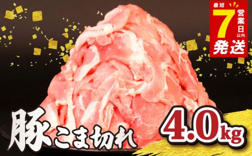 ＼最短7営業日以内発送／ 豚肉 切り落とし 小分け 冷凍 真空パック 4kg 500g×8P 国産 豚 豚肉切り落とし 豚切り落とし 肉 こま肉 小間 小間肉 豚こま こま切れ 小間切れ 小間 切落し ブランド 美味北総豚 千葉県 旭市 旭食肉協同組合 ask012