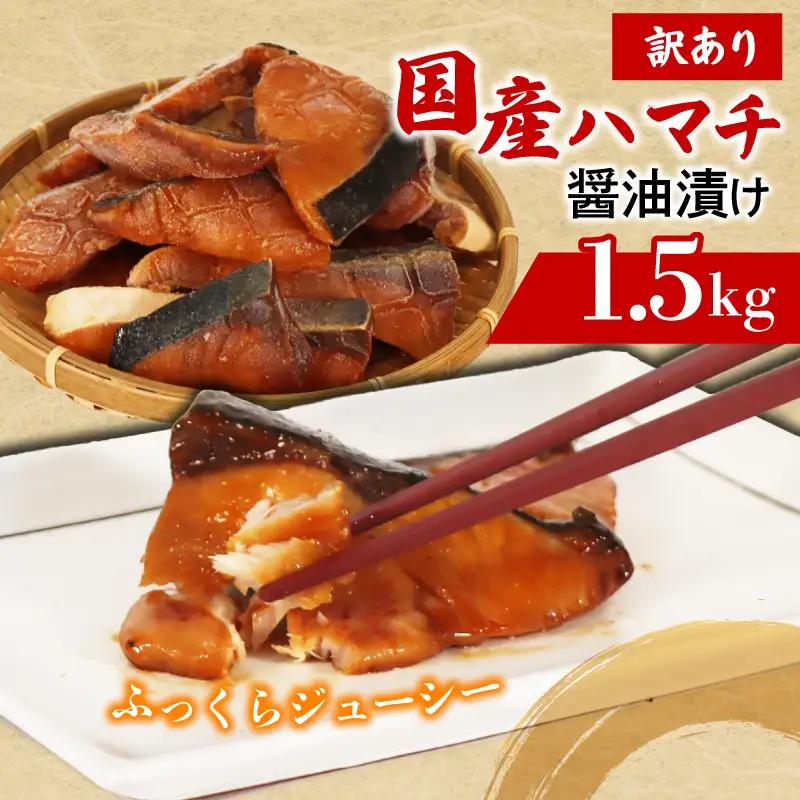 はまち ぶりの若魚  切り身 1.5kg 加熱用 ぶりの若魚 国産