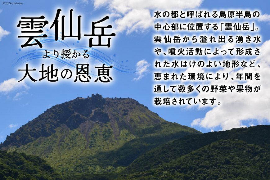 【12回毎月コース】旬の野菜・フルーツセット 野菜 定期便 【太陽卵6個付き】 13品目から15品目の豪華セット [長崎県農産品流通 長崎県 雲仙市 item2222] 野菜 定期 野菜セット フルー