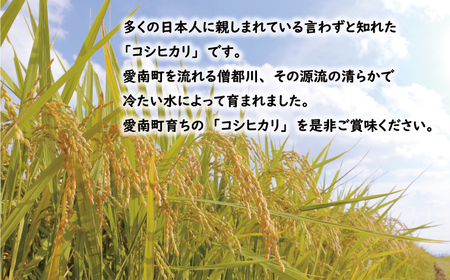先行予約 令和8年産新米 コシヒカリ 5kg | コシヒカリ 愛媛県 愛南町