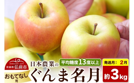 【27年2月発送】りんご ぐんま名月【おもてなし用】約3kg 平均糖度13度以上 青森県 弘前市 果物 フルーツ 林檎 リンゴ くだもの [先行受付 産地直送 アップル 青森県 弘前市]