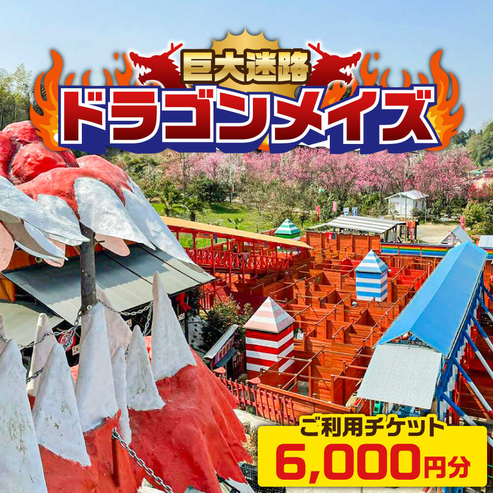 【ふるさと納税】「心の駅　陽だまりの丘」 巨大迷路 ドラゴンメイズで使えるチケット 6000円分 迷路 観光 島根県雲南市/株式会社　丸隆[AIAZ002]