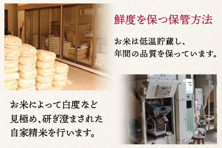 【令和5年産】いちほまれ 玄米 5kg×2袋（計10kg）《新鮮な高品質米をお届け！》／ 福井県産 ブランド米 ご飯