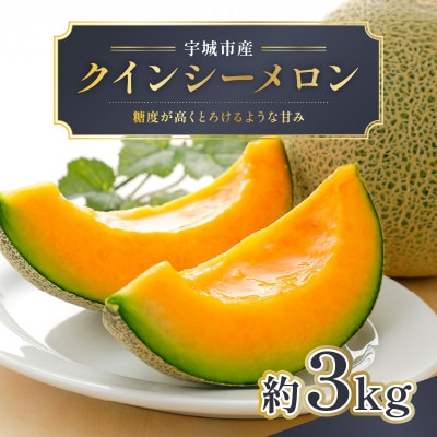 熊本産クインシーメロン2玉約3kg(宇城市)【配送不可地域：離島】【1612843】