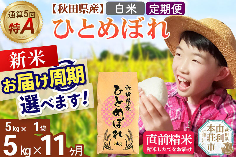 《令和8年産 新米受付》《定期便11ヶ月》【白米】通算5回特A 秋田県産ひとめぼれ 5kg(5kg×1袋)×11回  お届け周期調整 隔月に調整OK お米 米 こめ 藤岡農産 [米 白米 特A 精米 