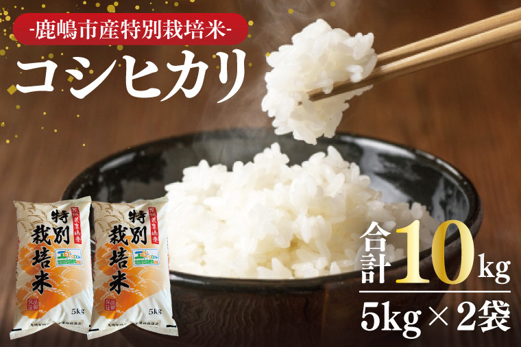 
                  米 10kg コシヒカリ 特別栽培米 ブランド 国産 精米 白米 お米 米10kg 10キロ kome okome こしひかり 白ご飯 こめ コメ おこめ 晩ご飯 グルメ 家庭用 2025 ライス おむすび おにぎり 弁当 令和7年度産 茨城県産 鹿嶋市 
                