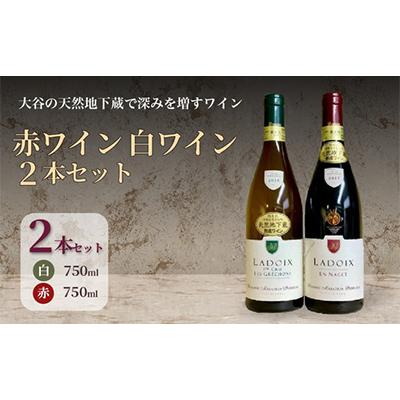 ふるさと納税 宇都宮市 大谷の天然地下蔵で深みを増すワイン ブルゴーニュ赤白 プルミエクリュ含む 2本セット