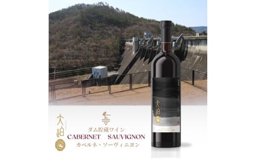 「早池峰の恵み」モリタワイン カベルネ・ソーヴィニヨン2017 ダム貯蔵ワイン ミディアムボディ 辛口　720ml×1本 【2109】